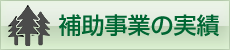 補助事業の実績